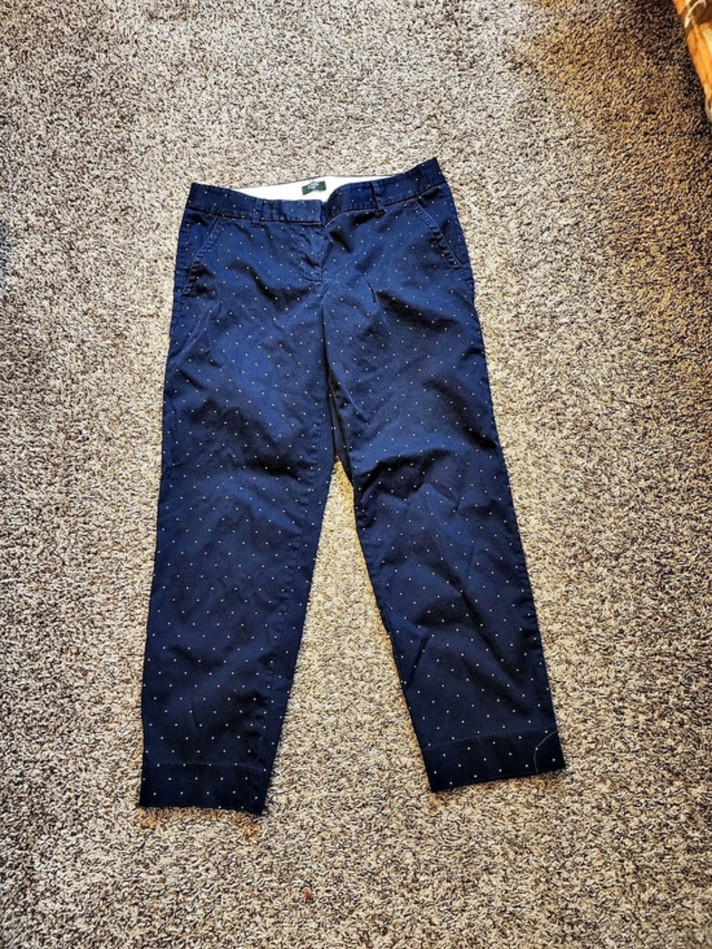 J.Crew Minnie Pant in Polka Dot Women's Blue Straight Leg Pants
